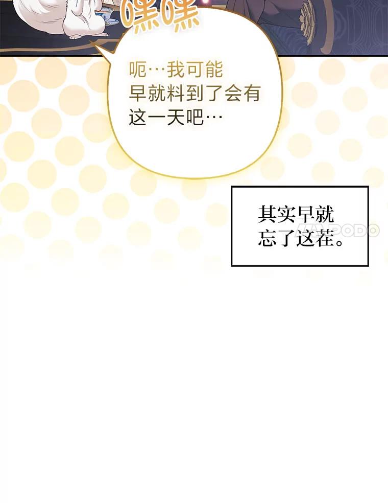 《大公家的狐狸皇女》33.不断逃避… 第32页