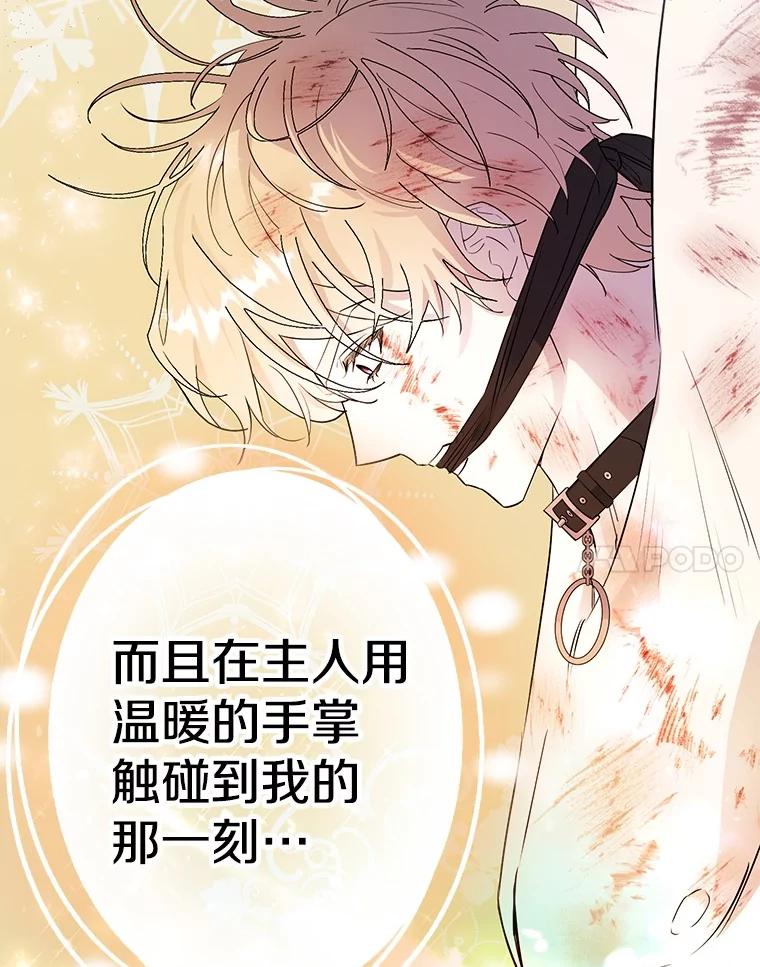 《如果我拯救了背德禽兽》34.恨自己无能 第48页