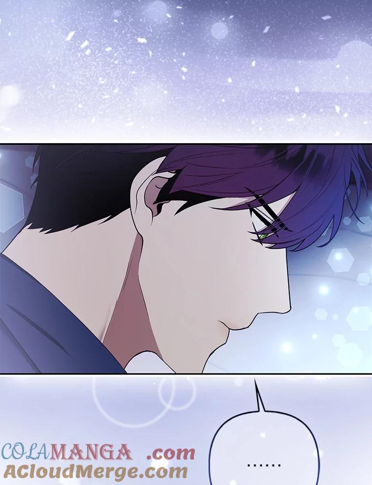 《大公家的狐狸皇女》34.唯一的证人 第13页