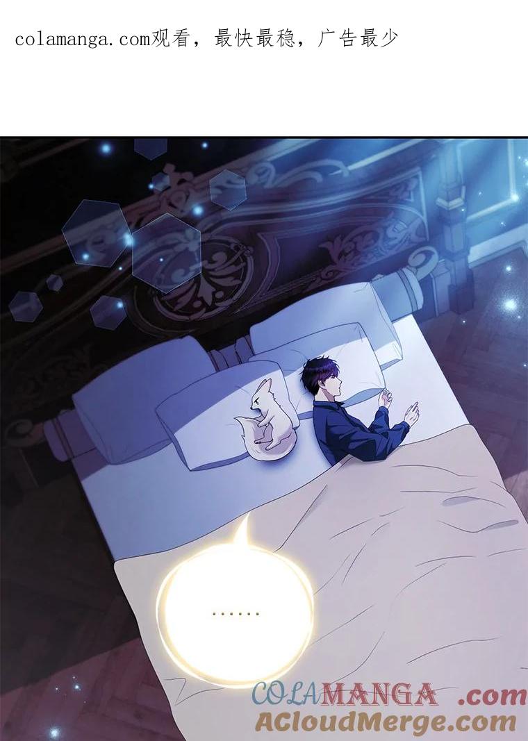 《大公家的狐狸皇女》34.唯一的证人 第1页