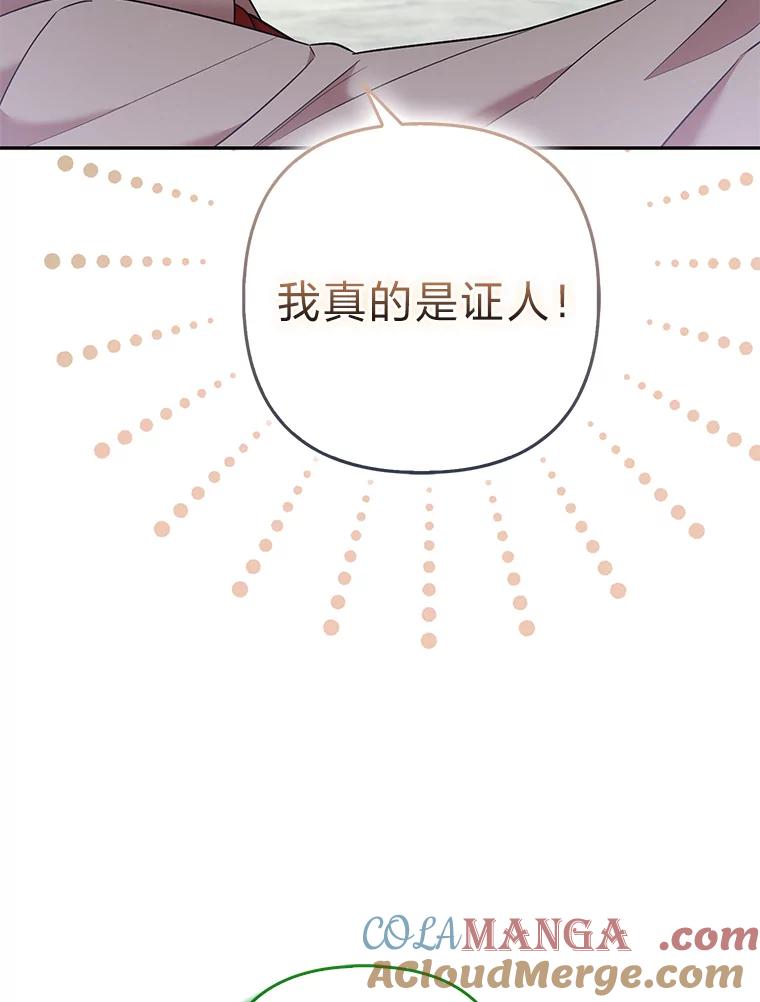 《大公家的狐狸皇女》34.唯一的证人 第29页