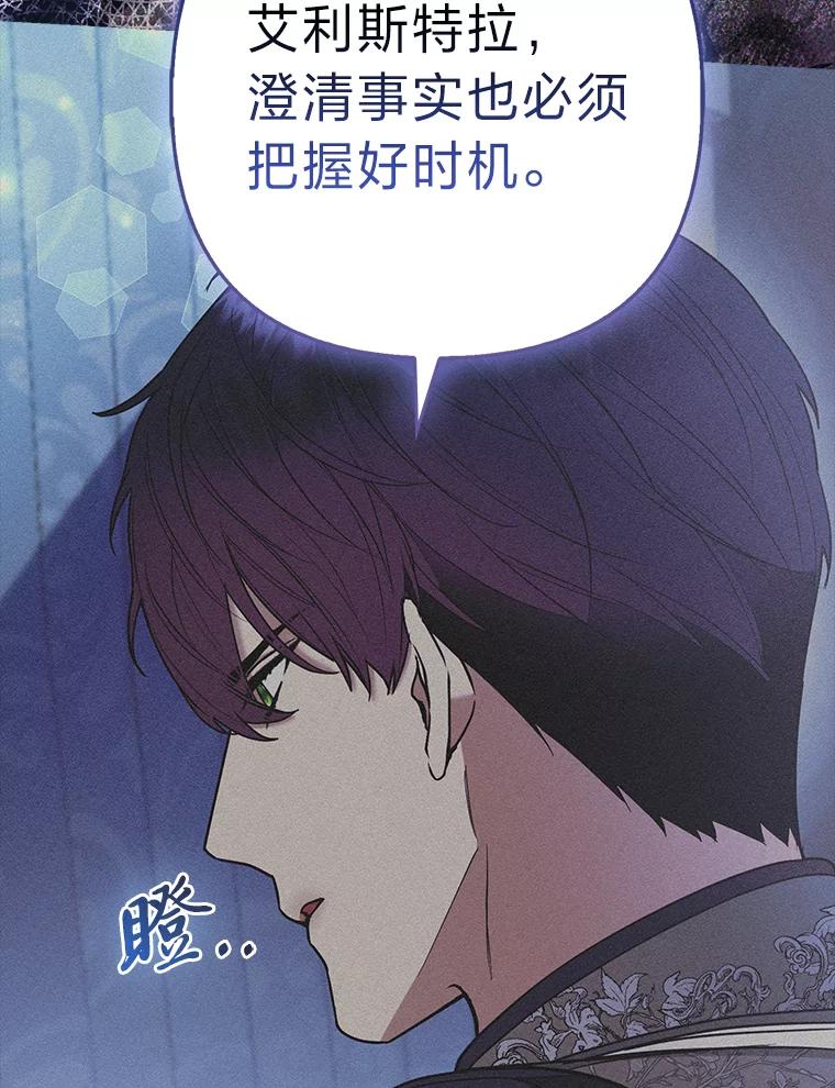 《大公家的狐狸皇女》34.唯一的证人 第3页