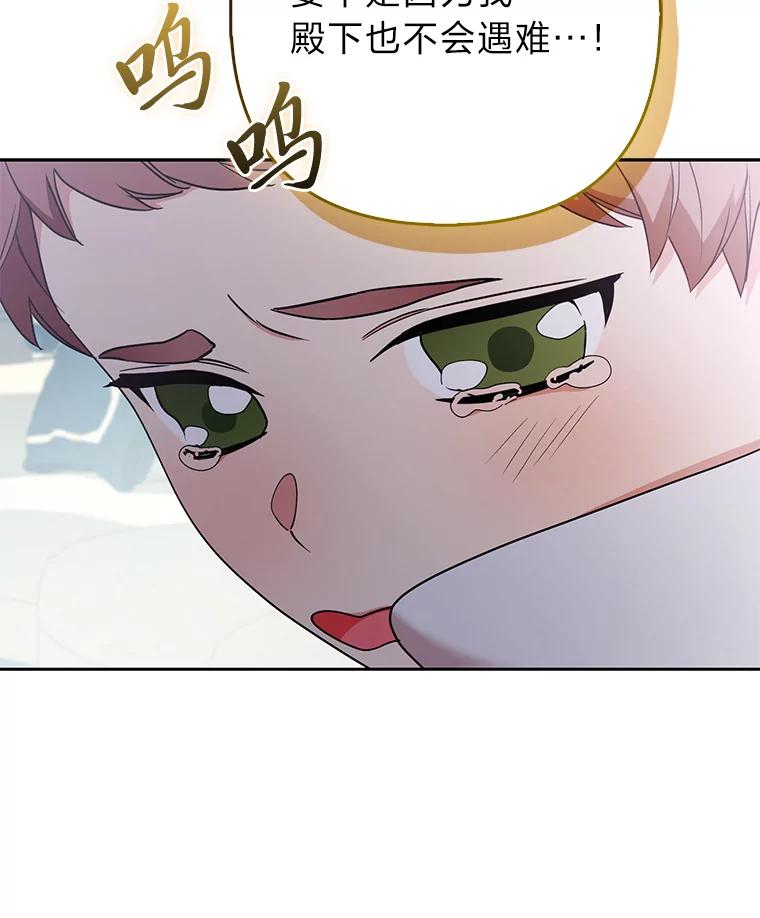 《大公家的狐狸皇女》34.唯一的证人 第100页
