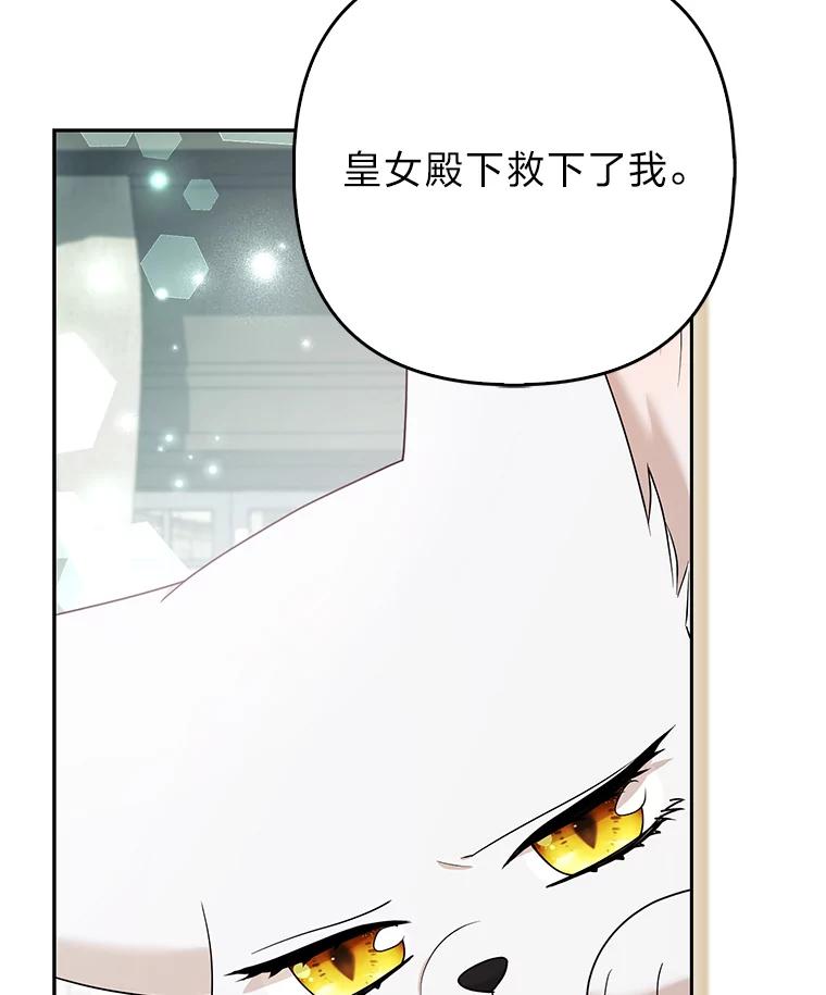 《大公家的狐狸皇女》34.唯一的证人 第98页