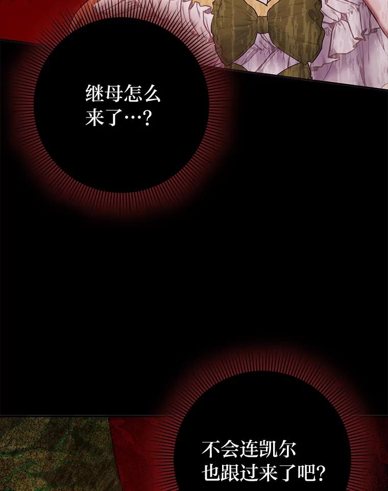 《消失的灰姑娘》33.不速之客 第91页