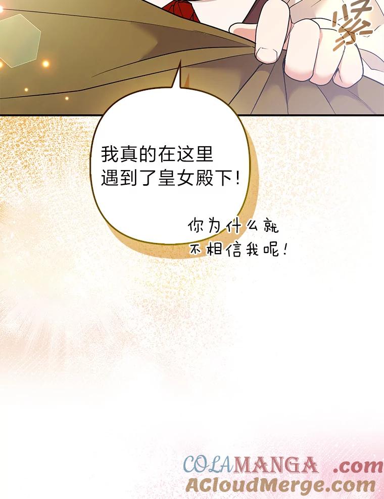 《大公家的狐狸皇女》34.唯一的证人 第33页