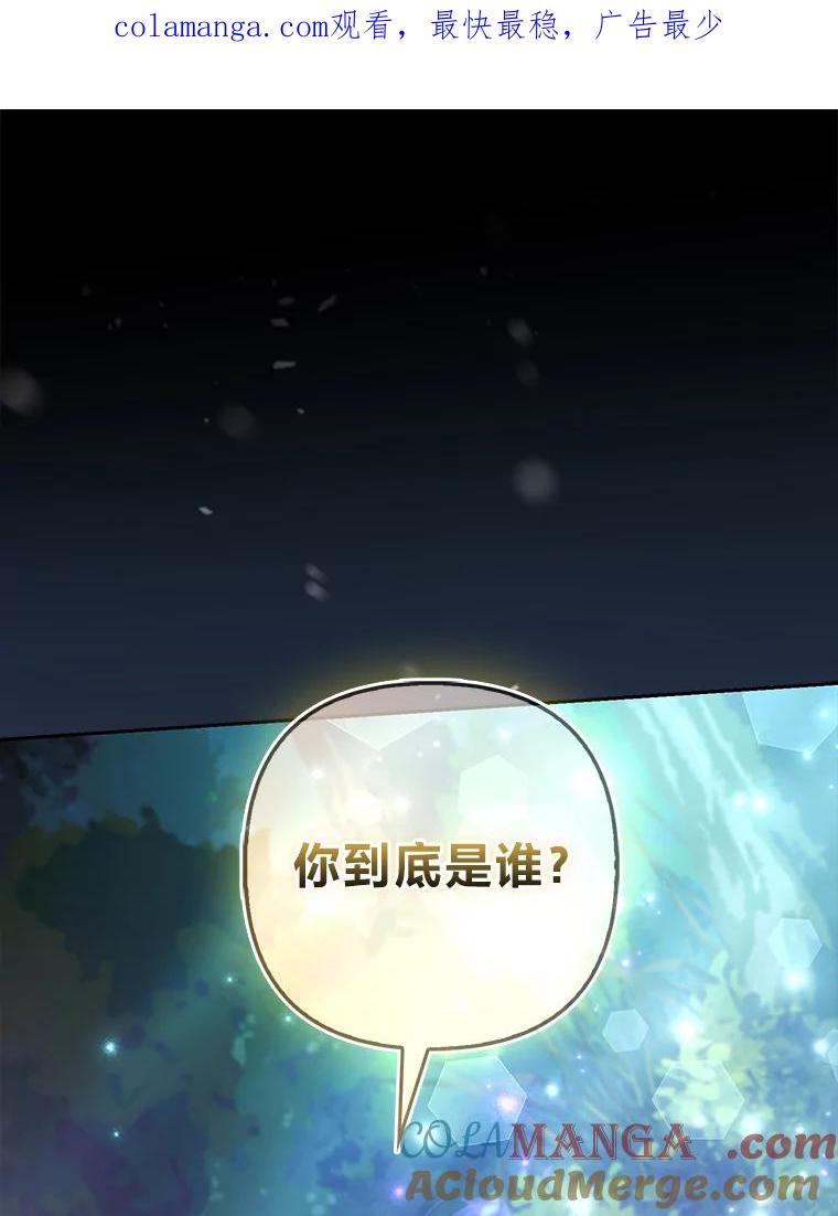 《大公家的狐狸皇女》35.真正的她 第1页