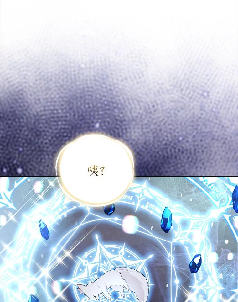 《大公家的狐狸皇女》36.变回去的魔法 第92页