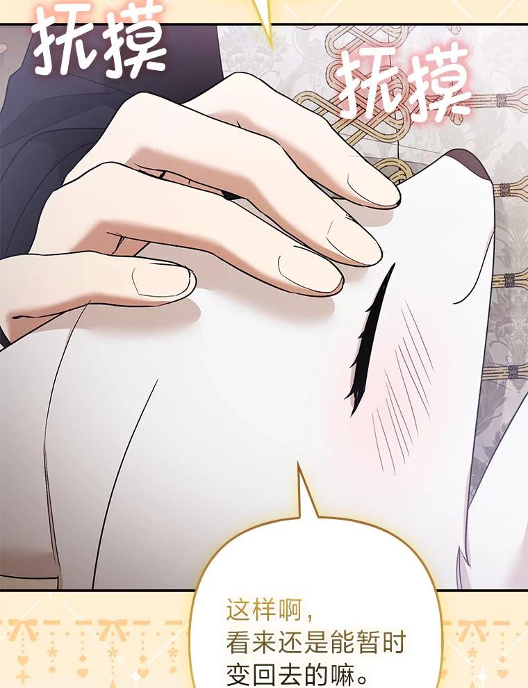 《大公家的狐狸皇女》36.变回去的魔法 第68页