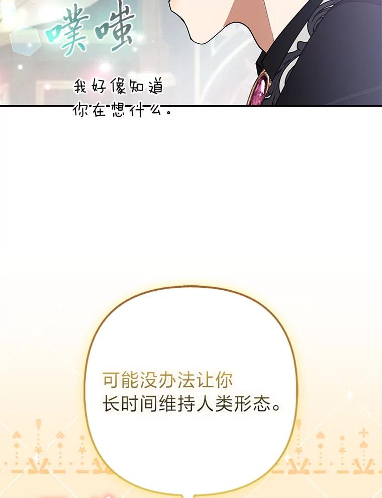 《大公家的狐狸皇女》36.变回去的魔法 第67页