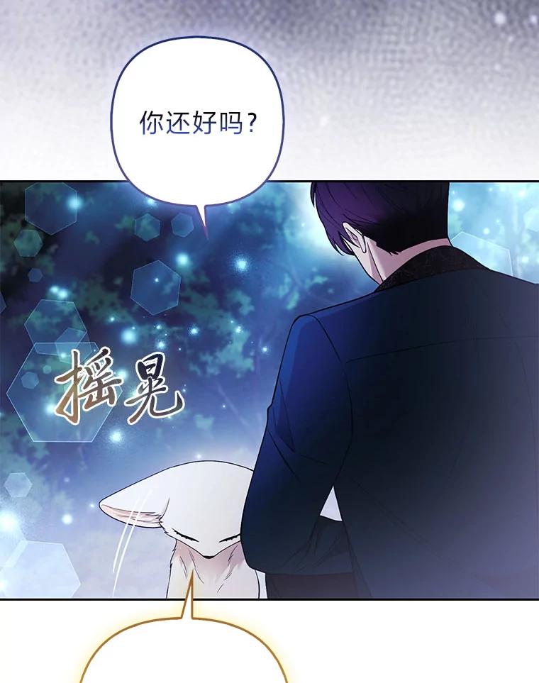 《大公家的狐狸皇女》36.变回去的魔法 第94页