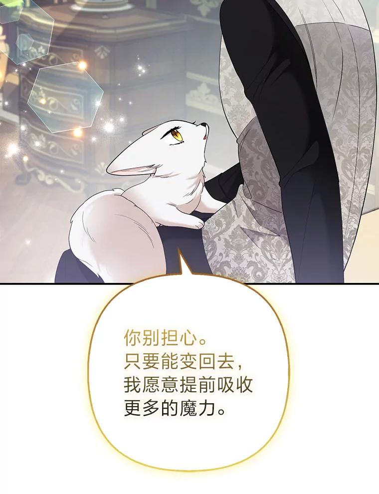 《大公家的狐狸皇女》36.变回去的魔法 第63页
