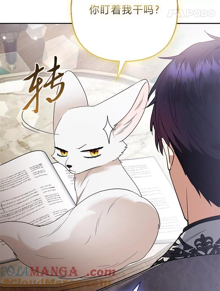 《大公家的狐狸皇女》36.变回去的魔法 第37页