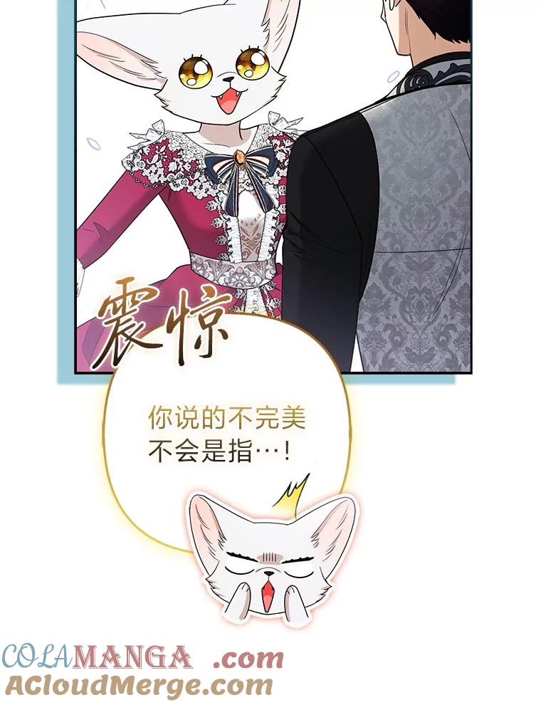 《大公家的狐狸皇女》36.变回去的魔法 第65页