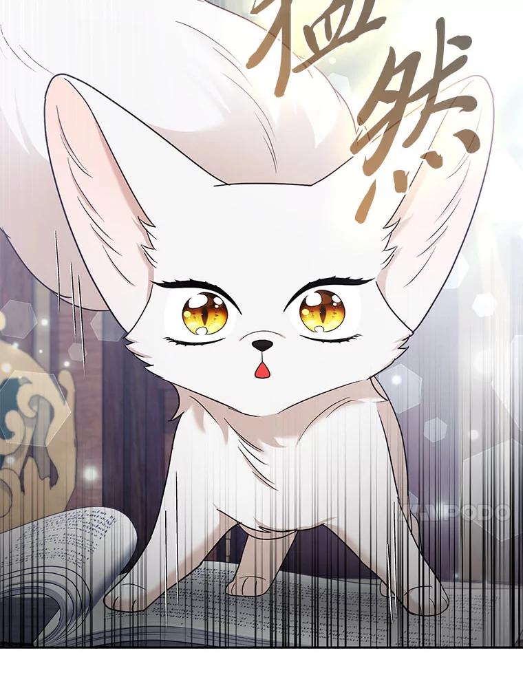 《大公家的狐狸皇女》36.变回去的魔法 第46页