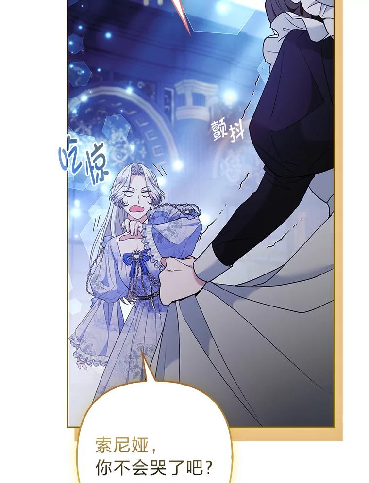 《大公家的狐狸皇女》38.皇帝的异样 第27页