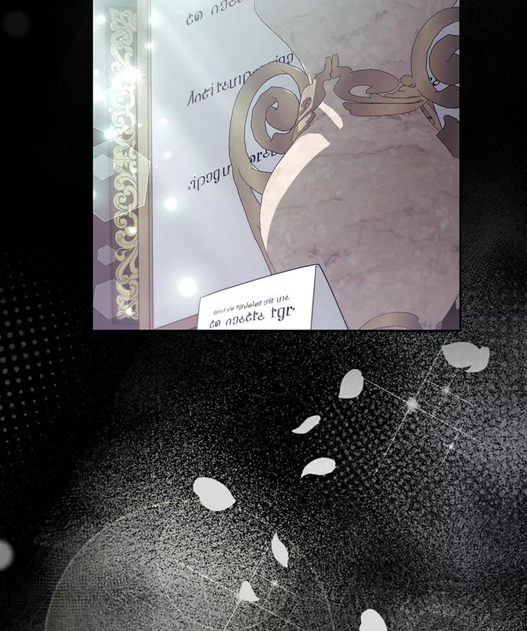 《大公家的狐狸皇女》38.皇帝的异样 第63页