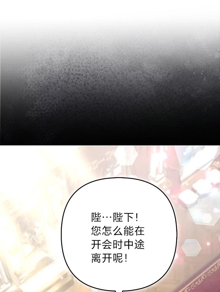 《大公家的狐狸皇女》38.皇帝的异样 第43页