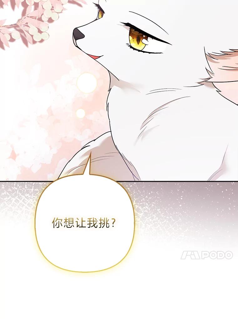 《大公家的狐狸皇女》38.皇帝的异样 第80页