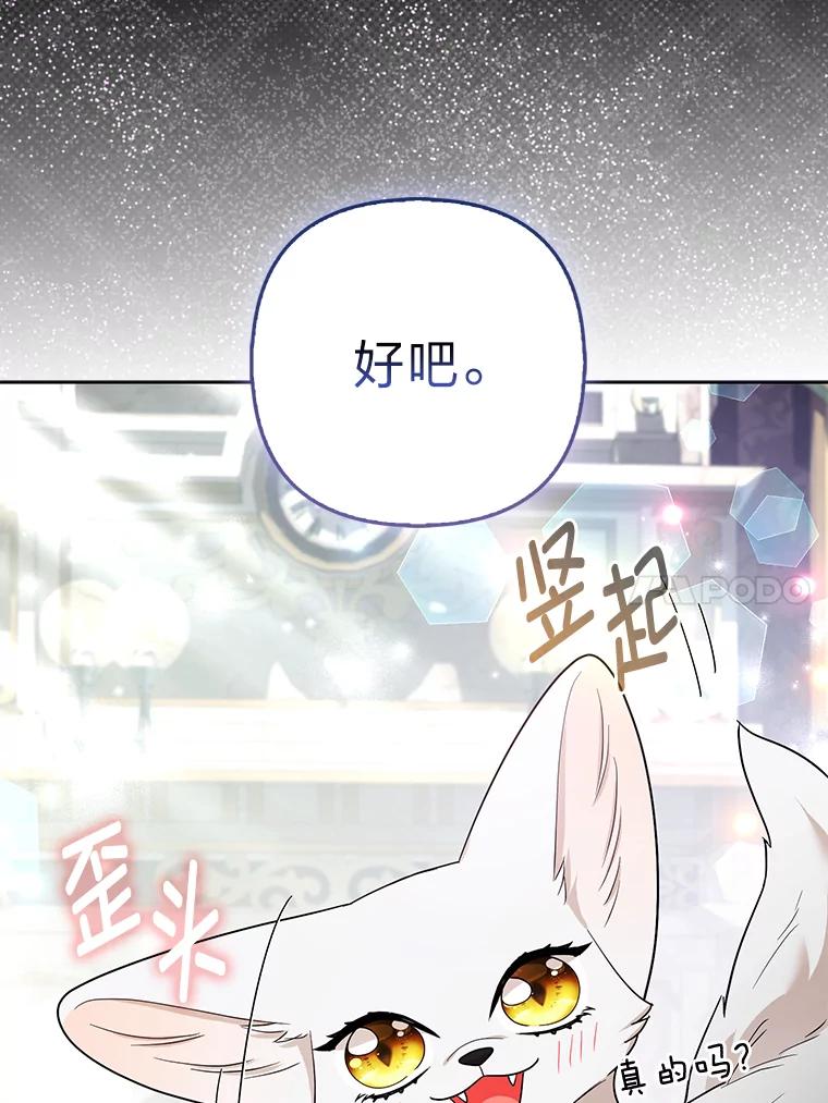 《大公家的狐狸皇女》38.皇帝的异样 第103页