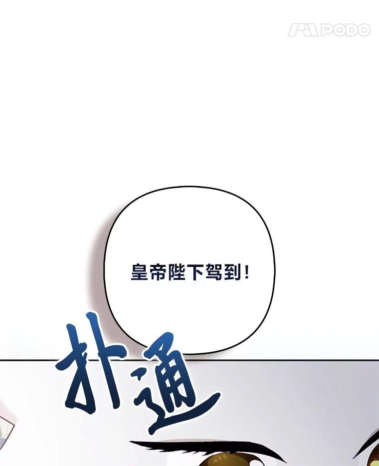 《大公家的狐狸皇女》39.开始义拍 第31页