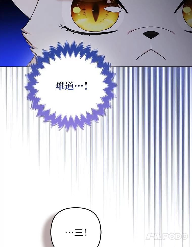 《大公家的狐狸皇女》39.开始义拍 第119页