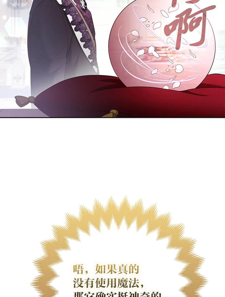 《大公家的狐狸皇女》39.开始义拍 第99页