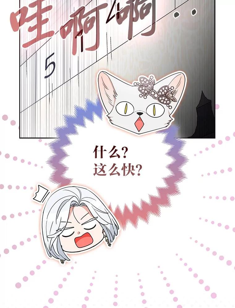 《大公家的狐狸皇女》39.开始义拍 第115页