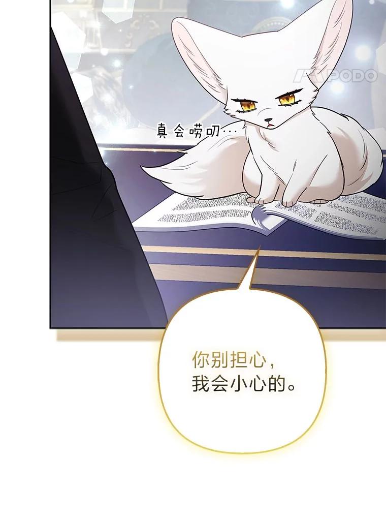 《大公家的狐狸皇女》39.开始义拍 第4页