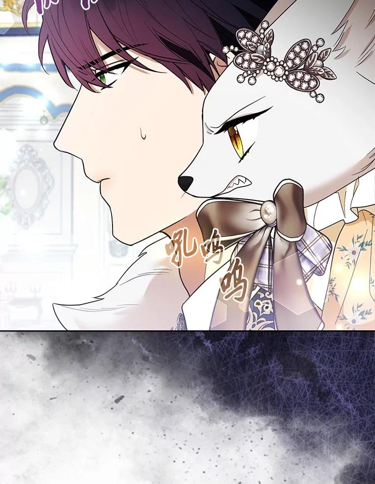 《大公家的狐狸皇女》39.开始义拍 第42页