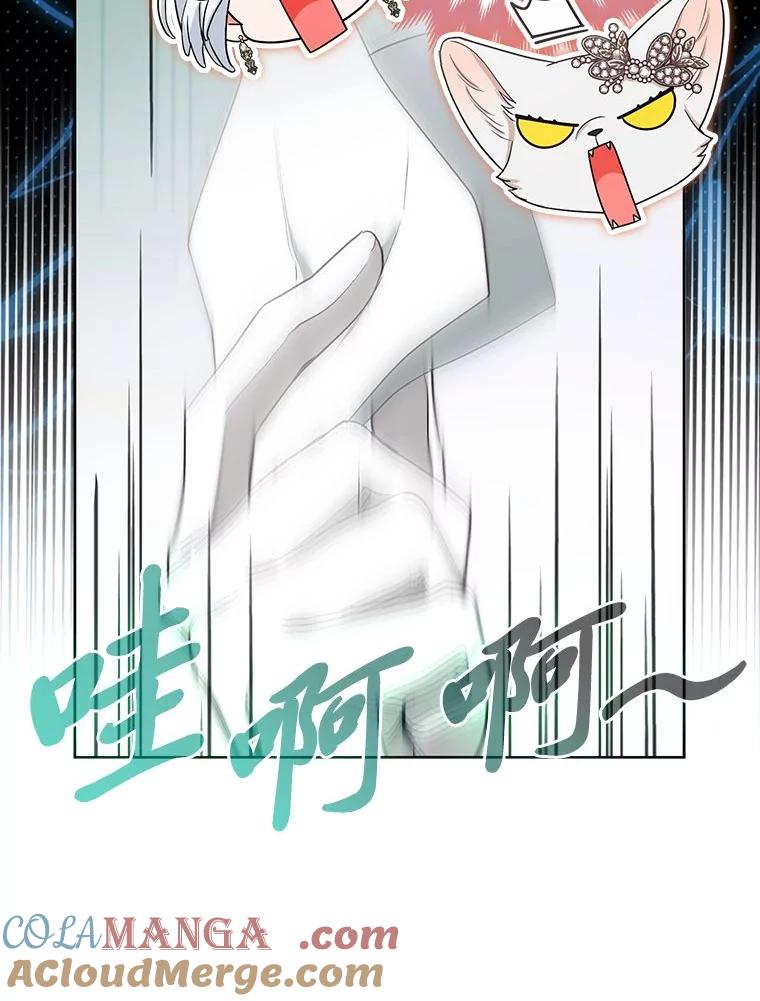 《大公家的狐狸皇女》39.开始义拍 第117页