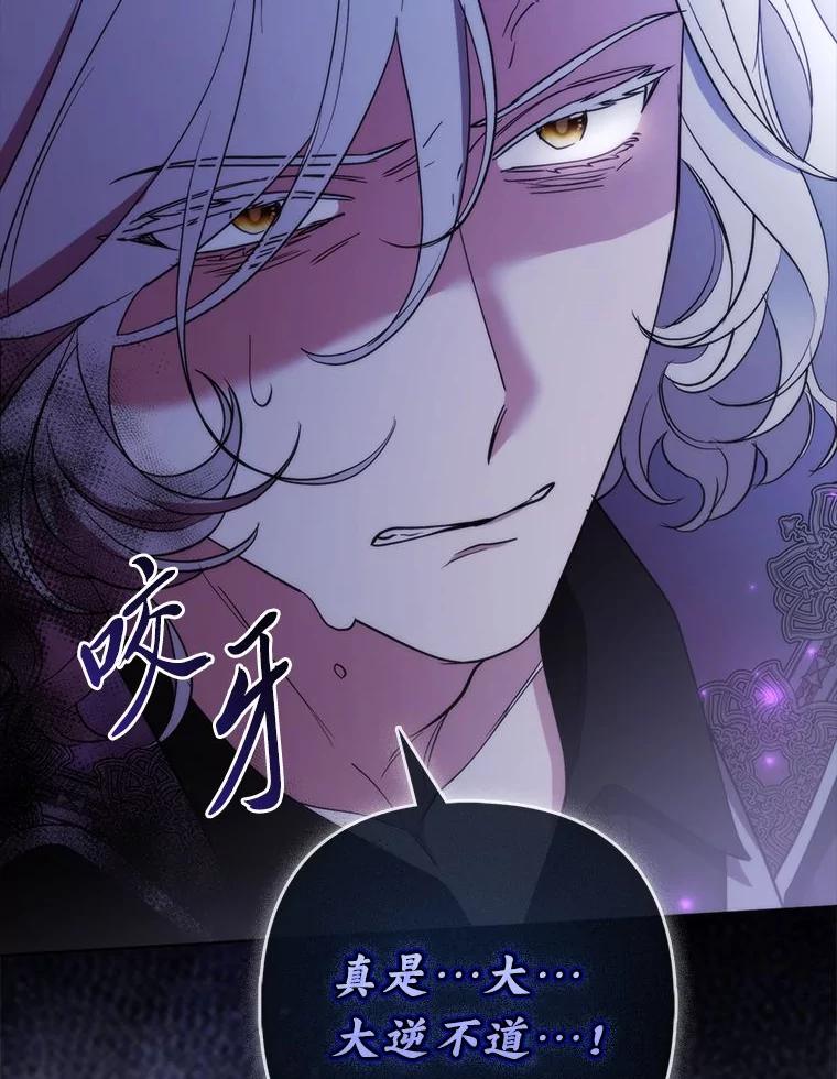 《大公家的狐狸皇女》40.崩溃的皇女 第22页