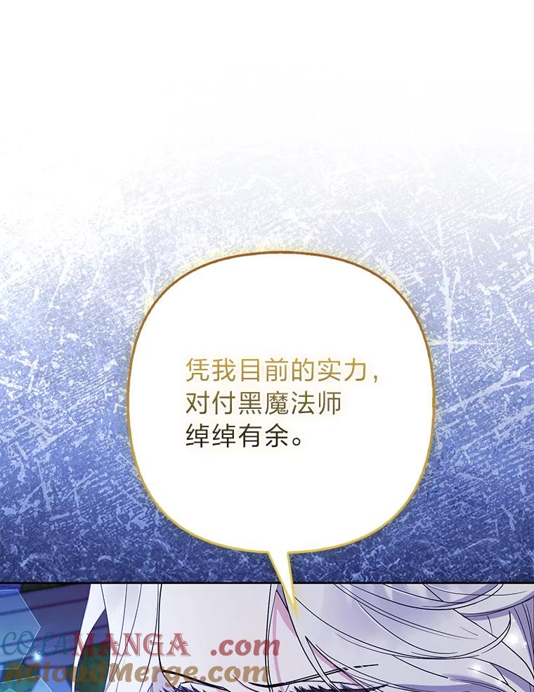 《大公家的狐狸皇女》41.新的计划 第13页