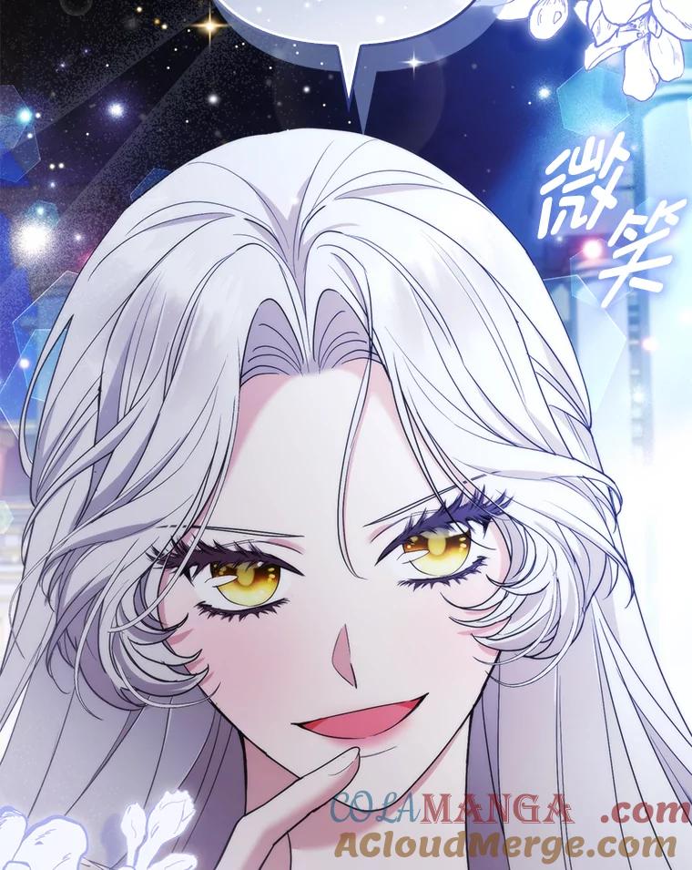 《大公家的狐狸皇女》41.新的计划 第25页