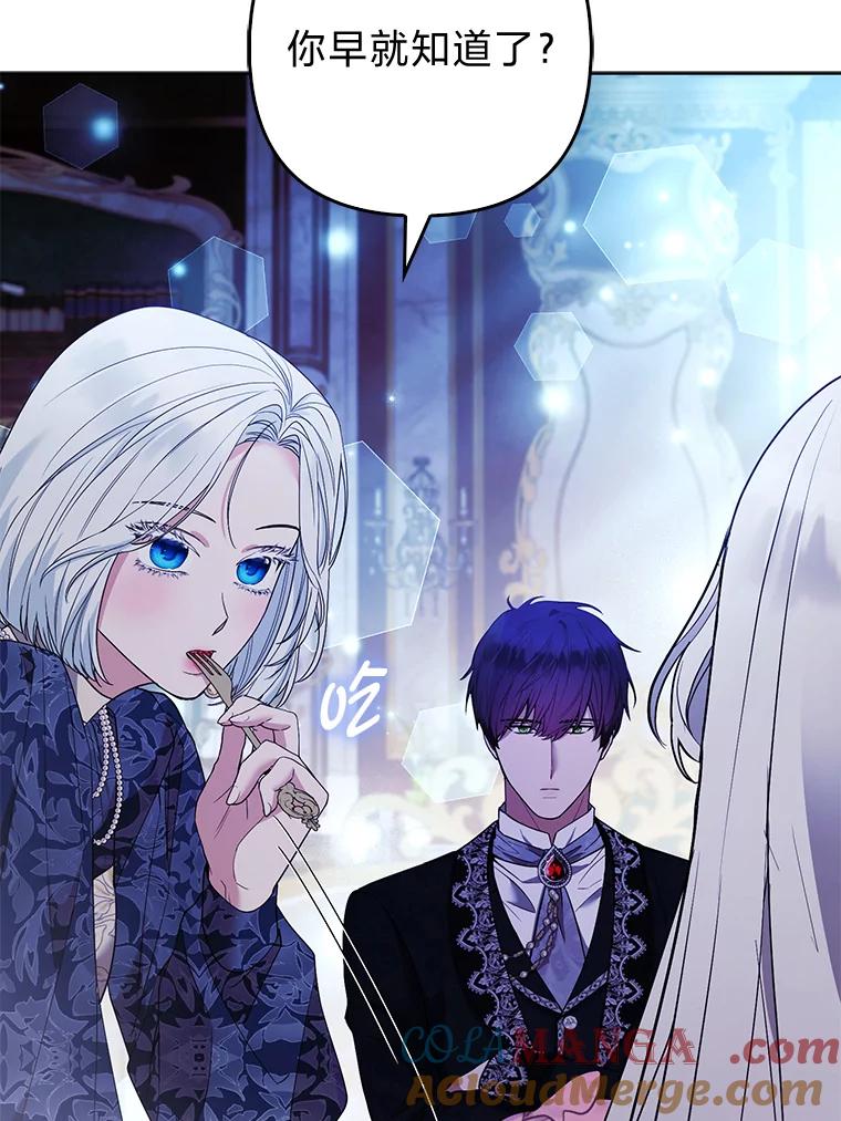 《大公家的狐狸皇女》41.新的计划 第85页