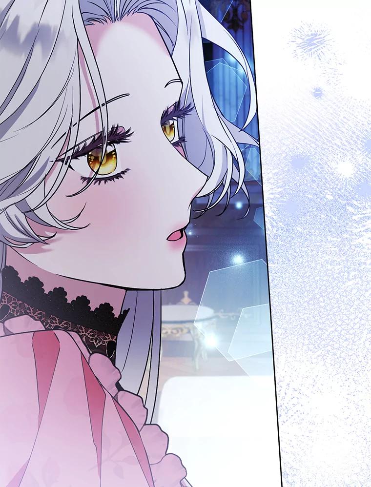 《大公家的狐狸皇女》41.新的计划 第70页