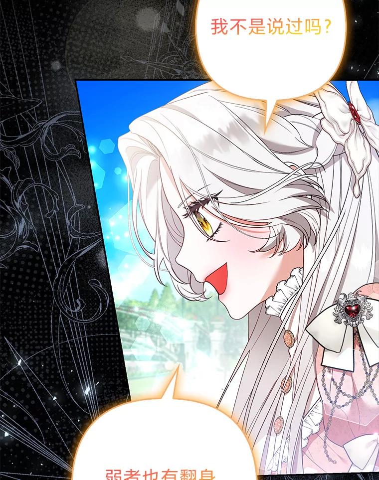 《大公家的狐狸皇女》41.新的计划 第3页