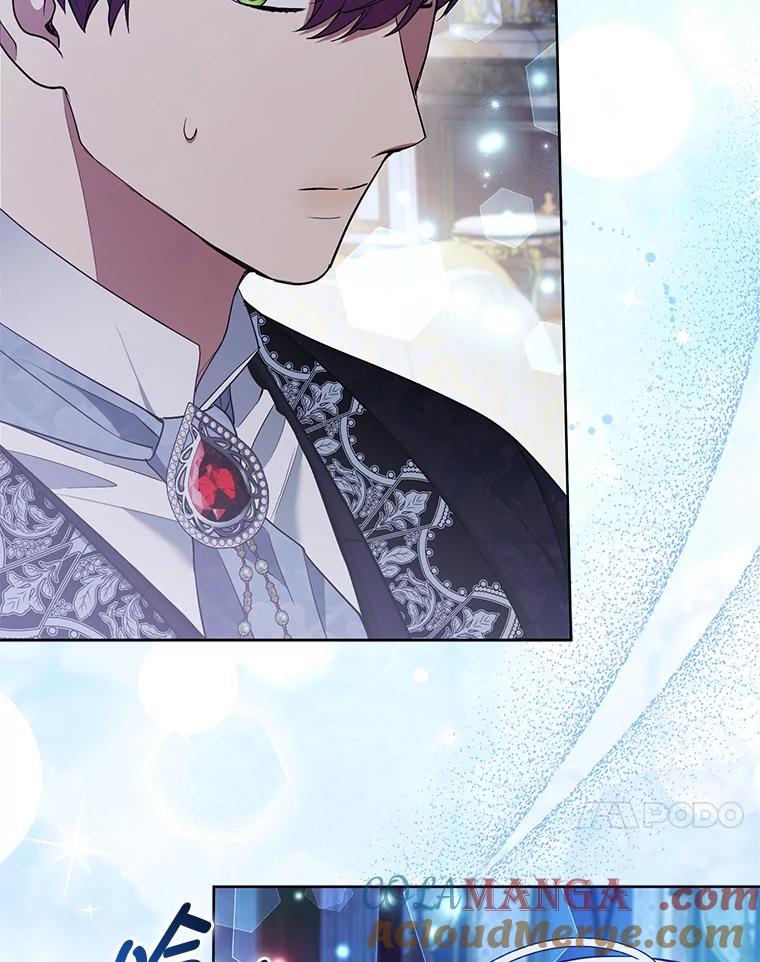 《大公家的狐狸皇女》41.新的计划 第109页