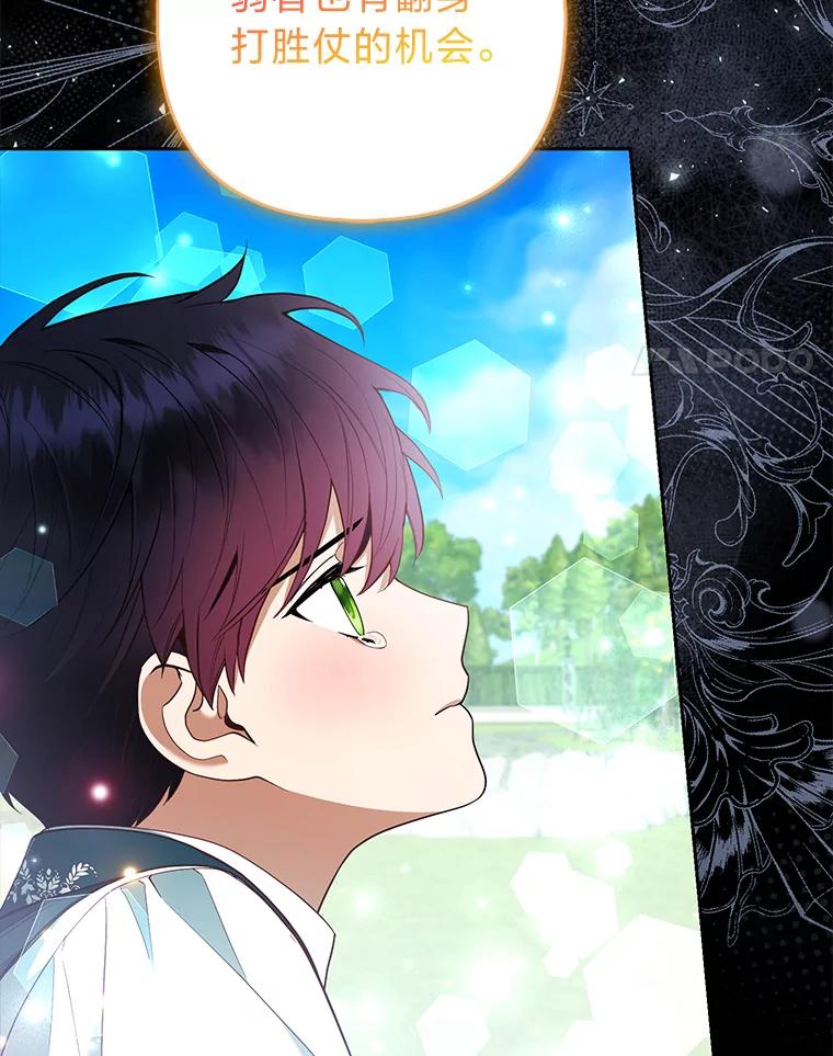 《大公家的狐狸皇女》41.新的计划 第4页