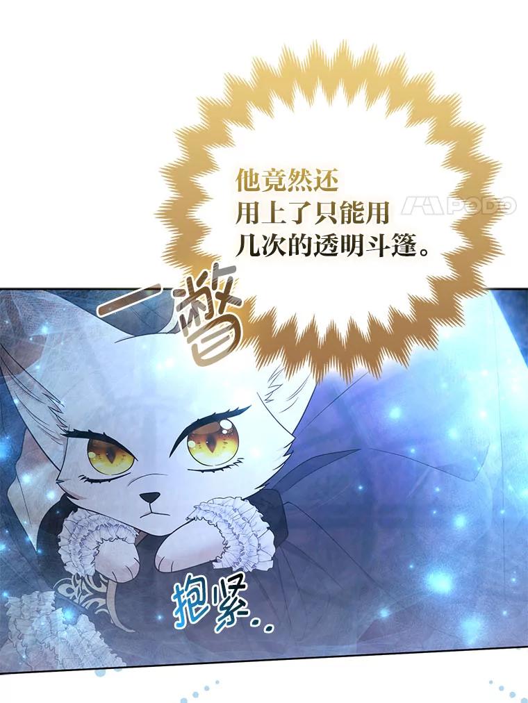 《大公家的狐狸皇女》42.惊现皇女的鬼魂 第32页
