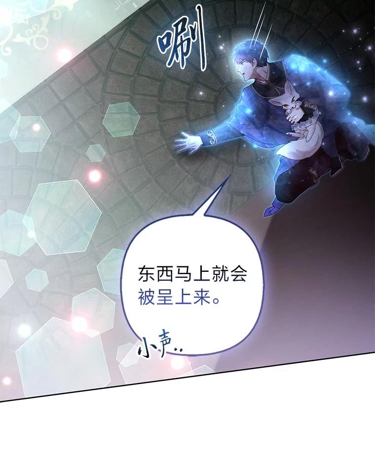 《大公家的狐狸皇女》42.惊现皇女的鬼魂 第31页