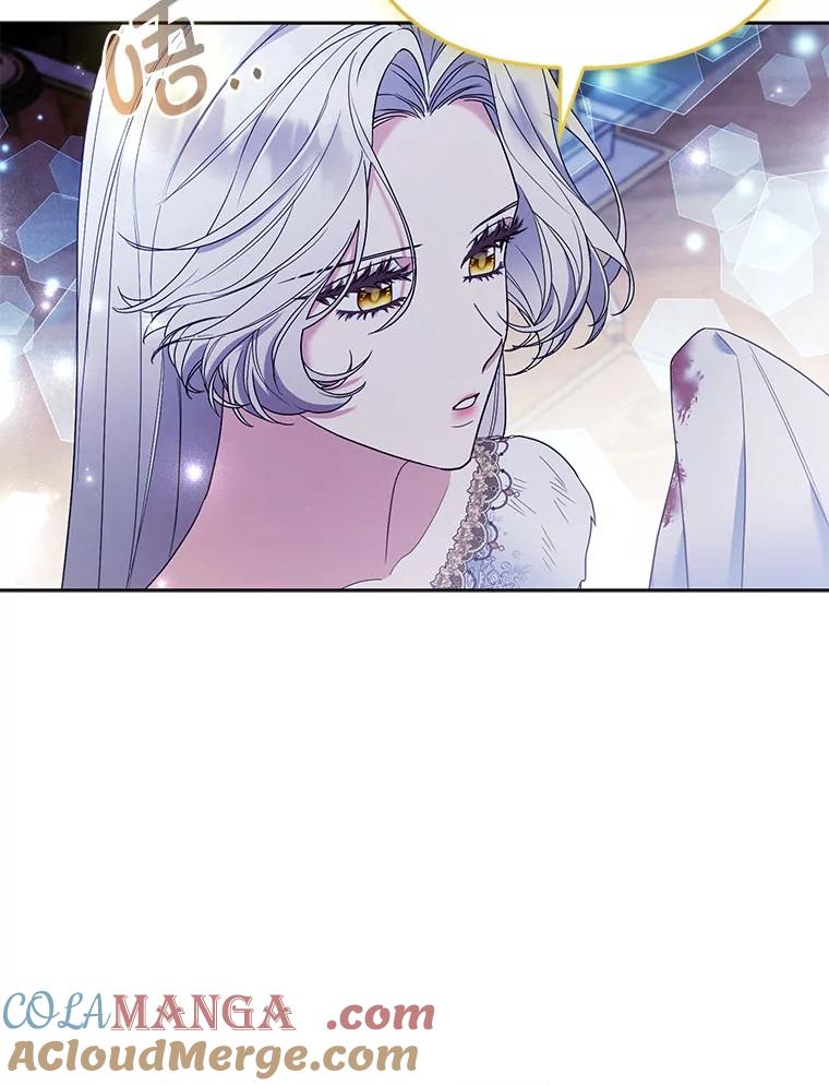 《大公家的狐狸皇女》42.惊现皇女的鬼魂 第73页