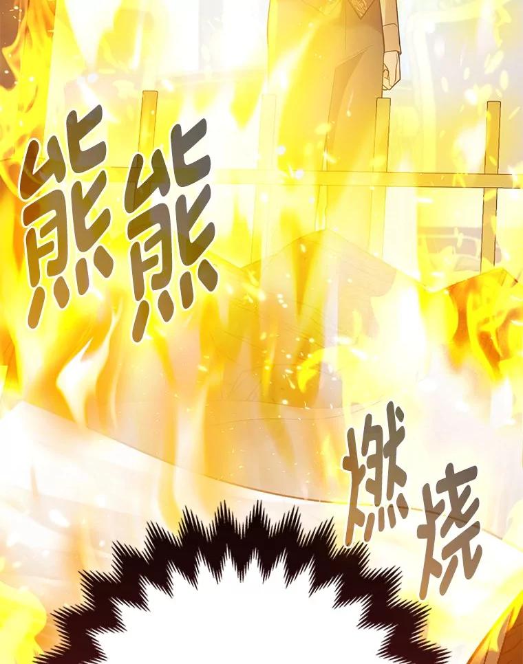 《大公家的狐狸皇女》44.没用的手牌 第102页