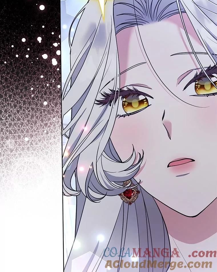《大公家的狐狸皇女》44.没用的手牌 第37页