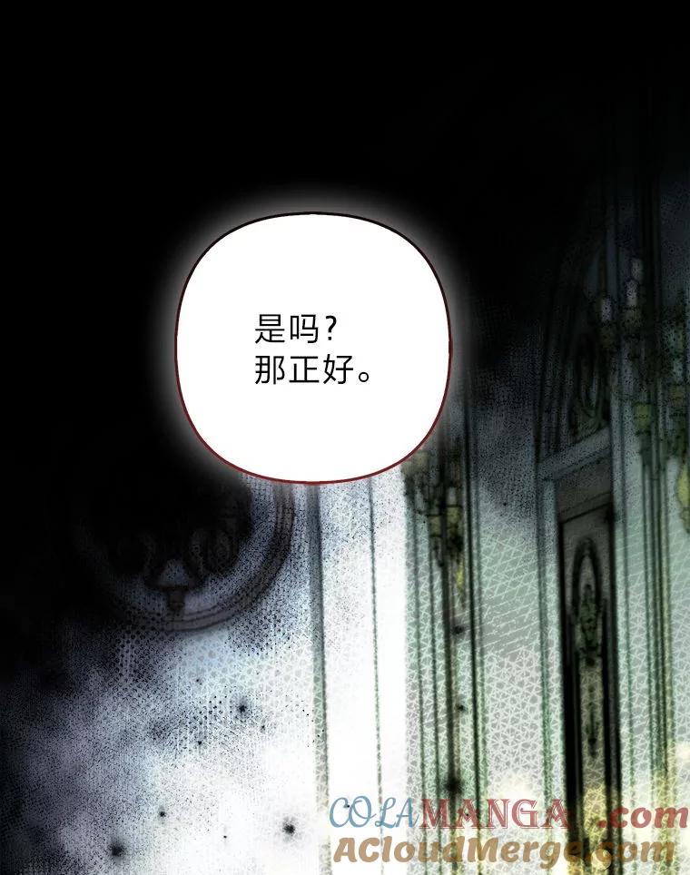 《大公家的狐狸皇女》44.没用的手牌 第113页