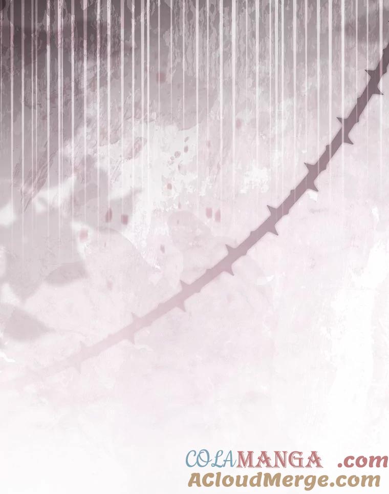 《大公家的狐狸皇女》44.没用的手牌 第117页
