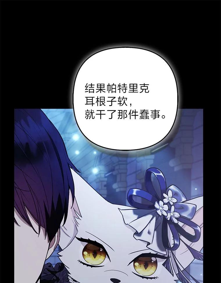 《大公家的狐狸皇女》44.没用的手牌 第14页
