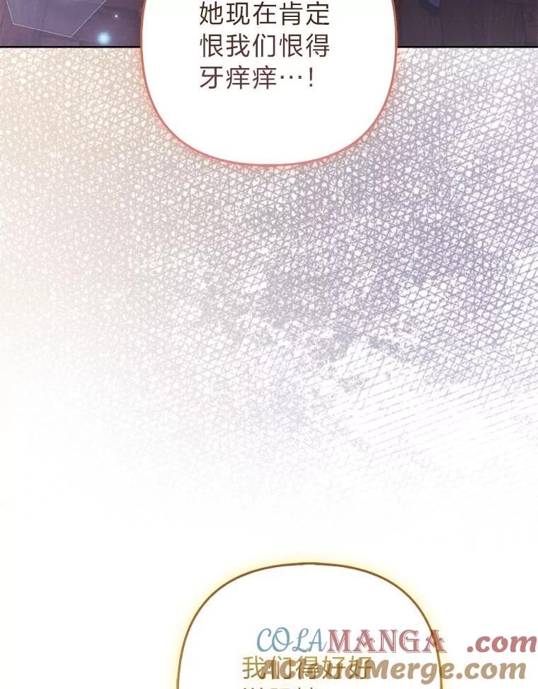 《大公家的狐狸皇女》44.没用的手牌 第25页