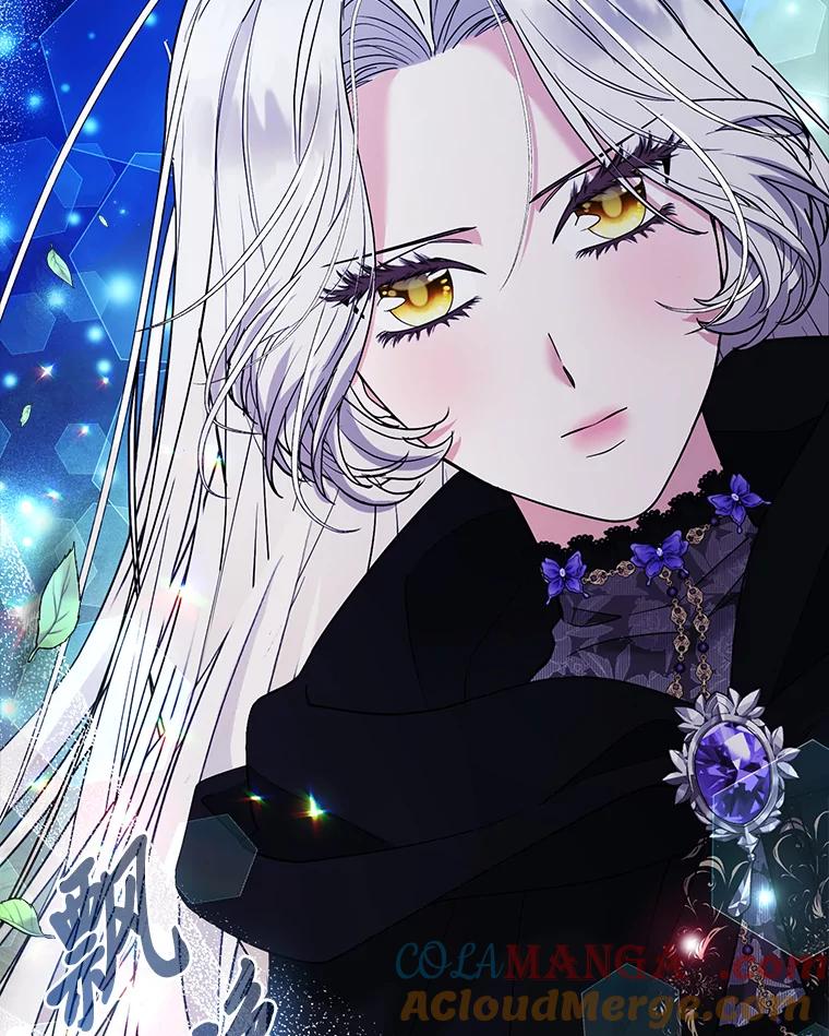 《大公家的狐狸皇女》45.以身入局 第109页