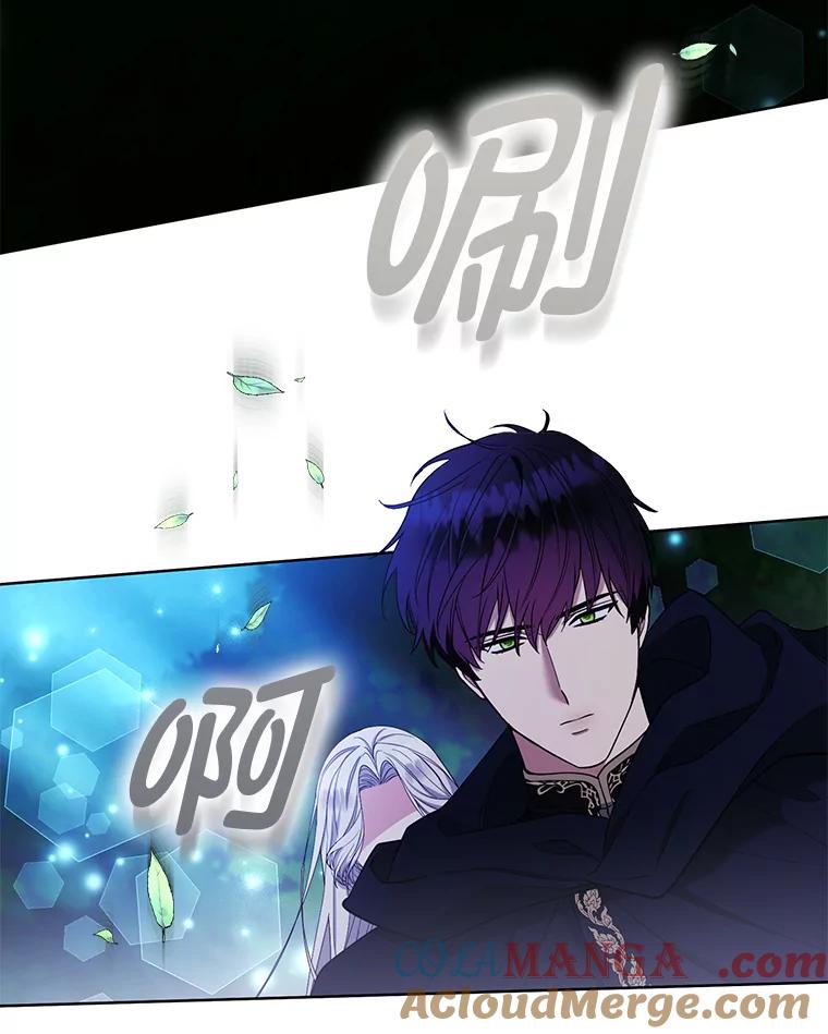 《大公家的狐狸皇女》45.以身入局 第105页
